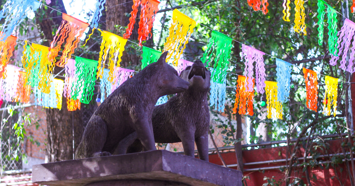 Colorful papel picado banners hang above a wolf statue in Coyoacán, Mexico, celebrating culture and community—symbolizing the vibrant, year-round presence of Hispanic identity beyond Heritage Month.
